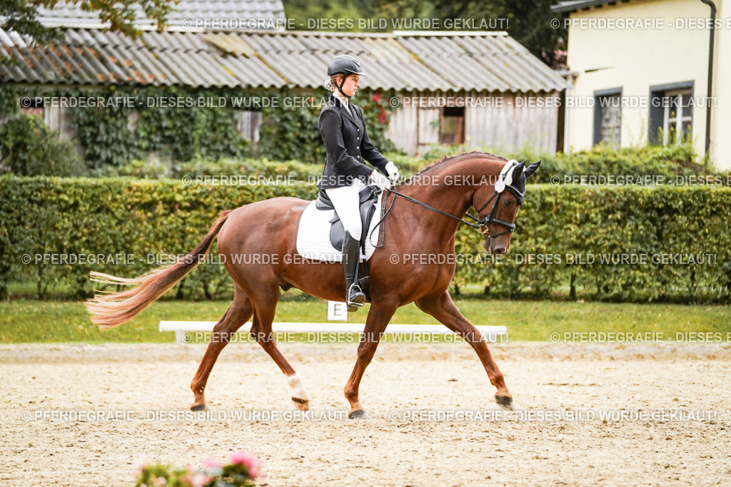 DSC08650 | Pferdegrafie