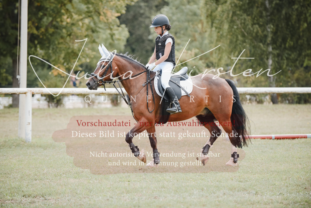 DSC_5482 | Pferde- und Turnierfotografie in Westsachsen. Pferdeportraits, Auftragszeichnungen und intuitive Kunst.