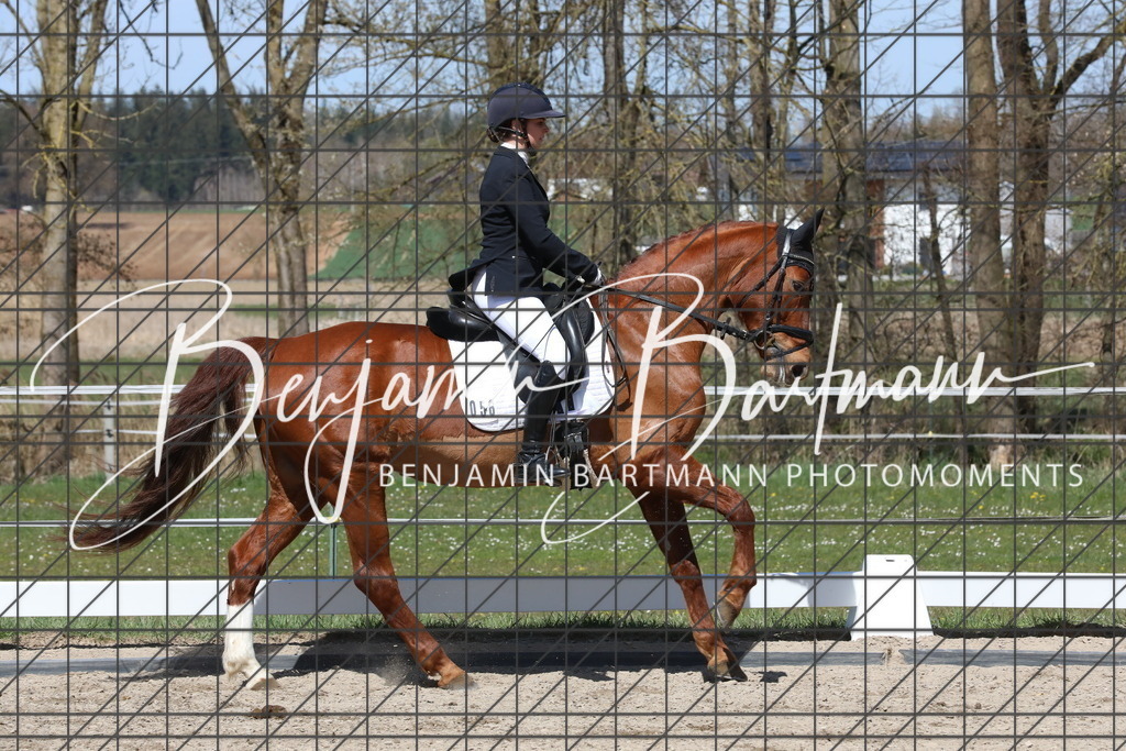 AZ2A4167 | Benjamin Bartmann Photomoments