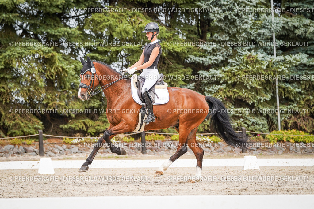 DSC05964 | Pferdegrafie