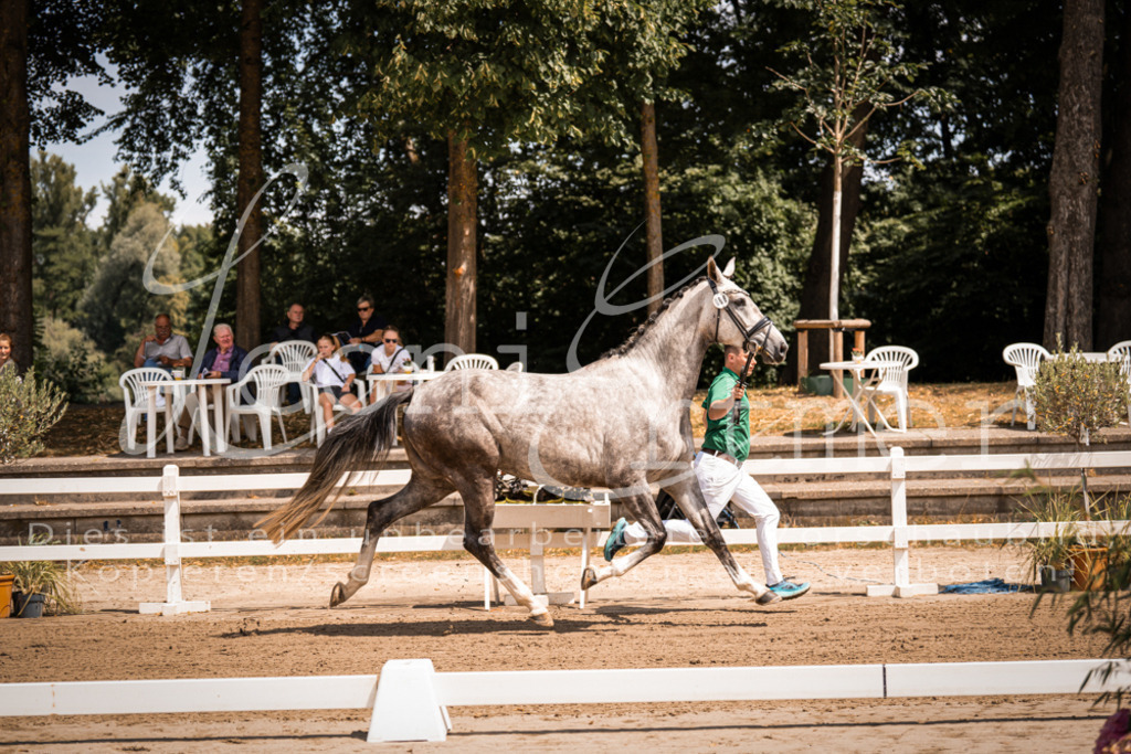 1.Fr00068 | Leoni Ertmer Photography - Realisiert mit Pictrs.com