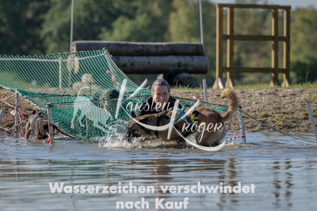 1334_ZZ91032 | kk-dogfotos