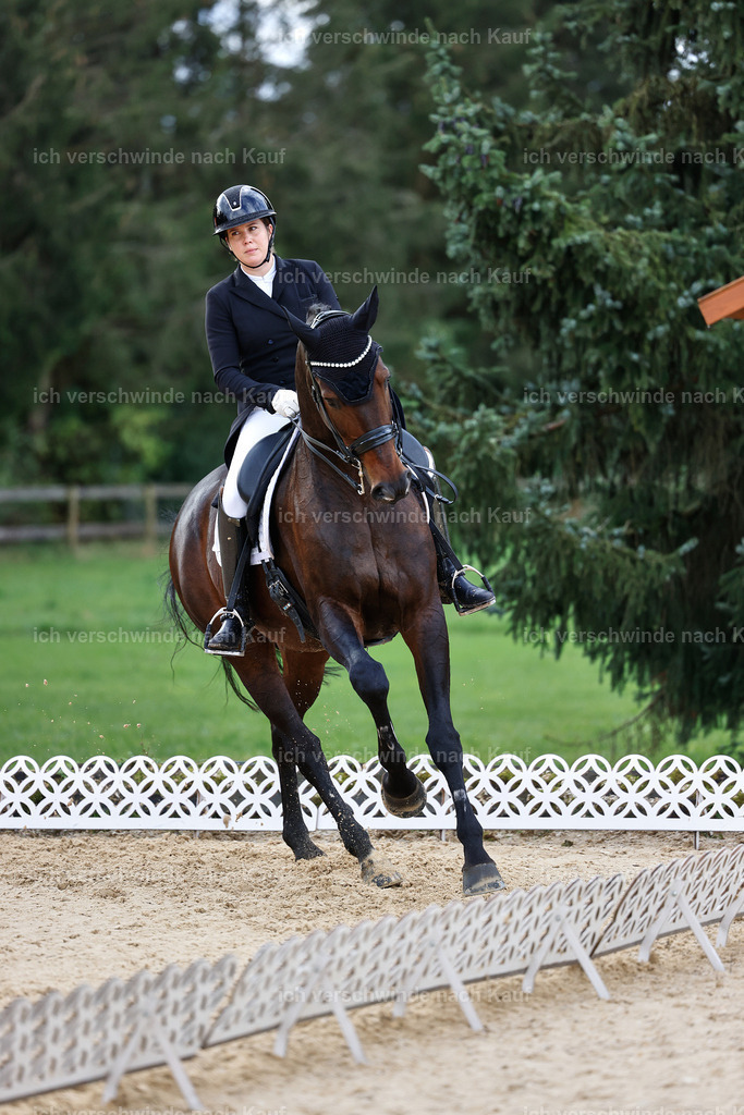 10-193-ST.GEORG SPECIAL -StoibPH-3245 | working equitationturnier fotograf videograf stoibphotography marixx film working equitation deutschland reitsport turnierfotografie eventfotografie equestrian events