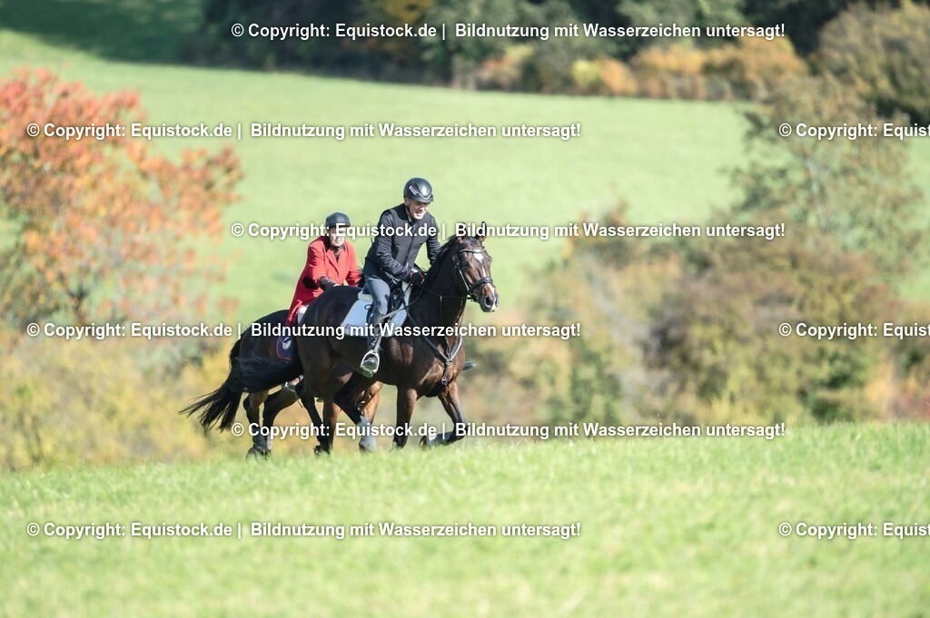 20251011_Jagd-Marbach_0341 | Foto: Thomas Hartig