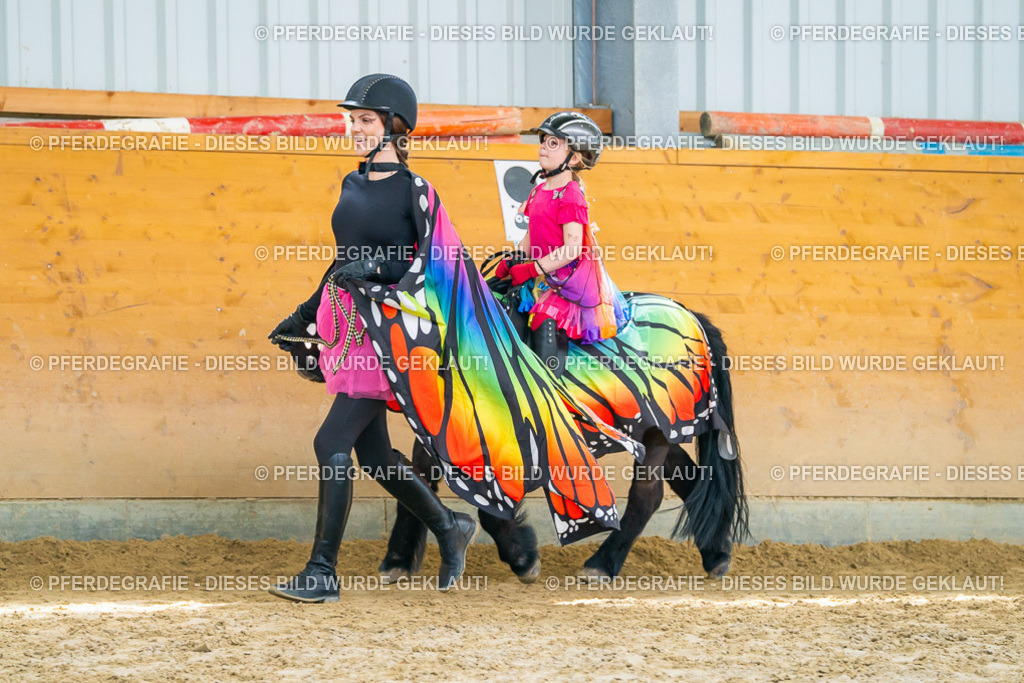 DSC00586 | Pferdegrafie