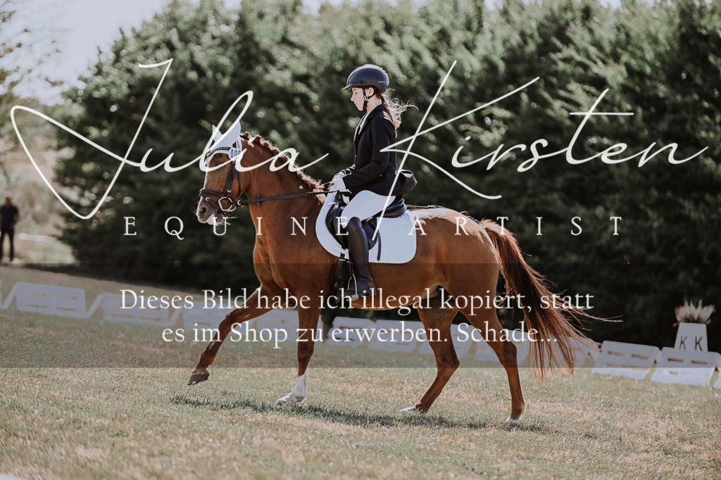 DSC_8762 | Pferde- und Turnierfotografie in Westsachsen. Pferdeportraits, Auftragszeichnungen und intuitive Kunst.