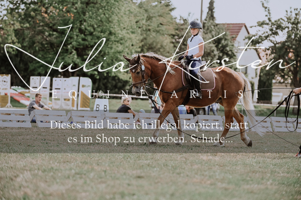 DSC_7795 | Pferde- und Turnierfotografie in Westsachsen. Pferdeportraits, Auftragszeichnungen und intuitive Kunst.