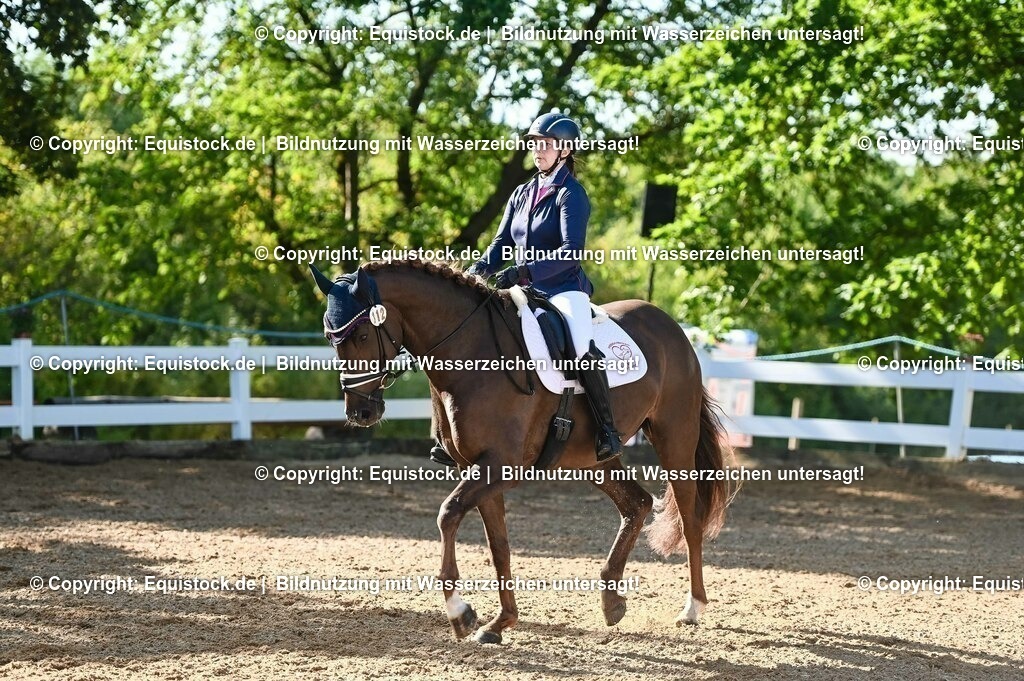 20230715_06_Dressurpferdeprfg. Kl.A_0121 | equistock