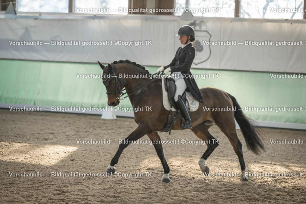 _D5A0685 | Emotionale Pferde- & People-Fotografie rund um Heidelberg, Leimen & Umgebung. Natürliche Fotos von Pferd, Mensch & Familie. Jetzt Termin sichern!