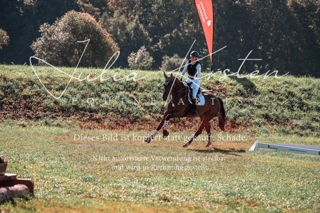 DSC_1077 | Pferde- und Turnierfotografie in Westsachsen. Pferdeportraits, Auftragszeichnungen und intuitive Kunst.