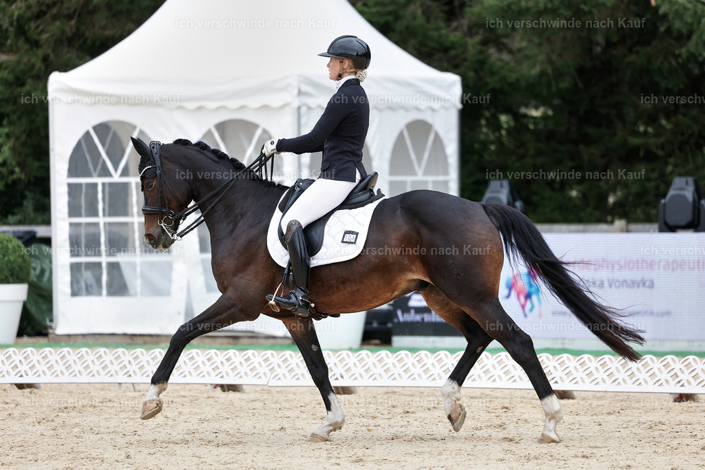 3-104-Dressur M_-StoibPH-2469 | working equitationturnier fotograf videograf stoibphotography marixx film working equitation deutschland reitsport turnierfotografie eventfotografie equestrian events