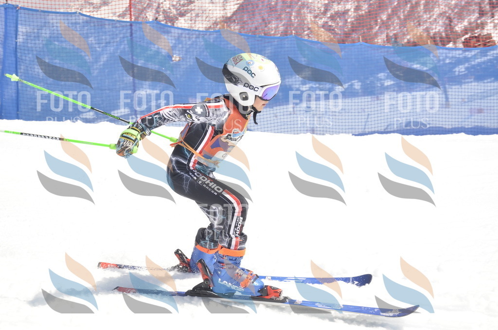 _ELE9349 | holidayphoto