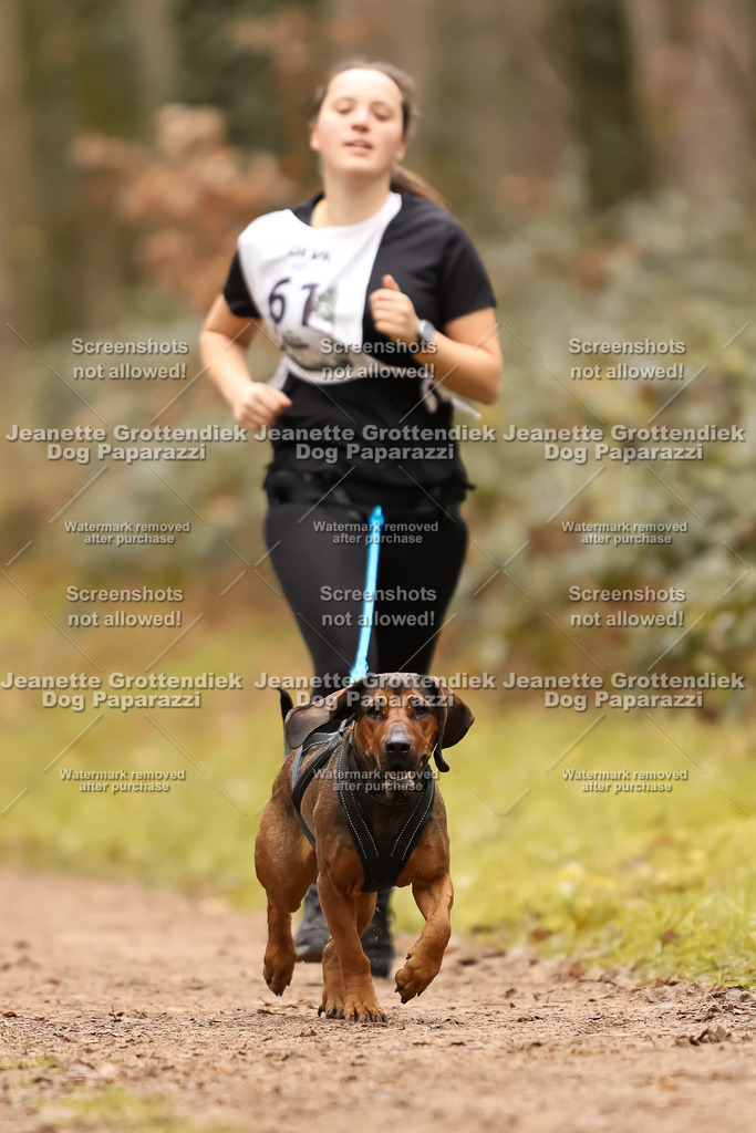 Dog Paparazzi - Speedhunter Mannheim  2025-180 | Dog Paparazzi Jeanette Grottendiek Fotografie & Videografie
