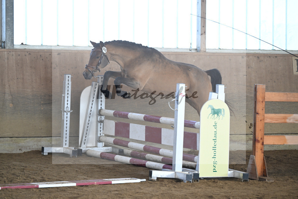 Kat-Nr. 9 More of Hollywood v. Mescal_Drude_49250232 | hf-fotografie - Realisiert mit Pictrs.com