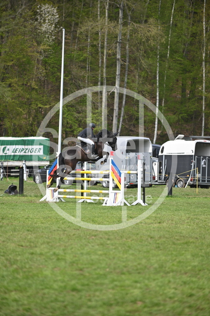 DSC_3951 | sattelsport - Realisiert mit Pictrs.com