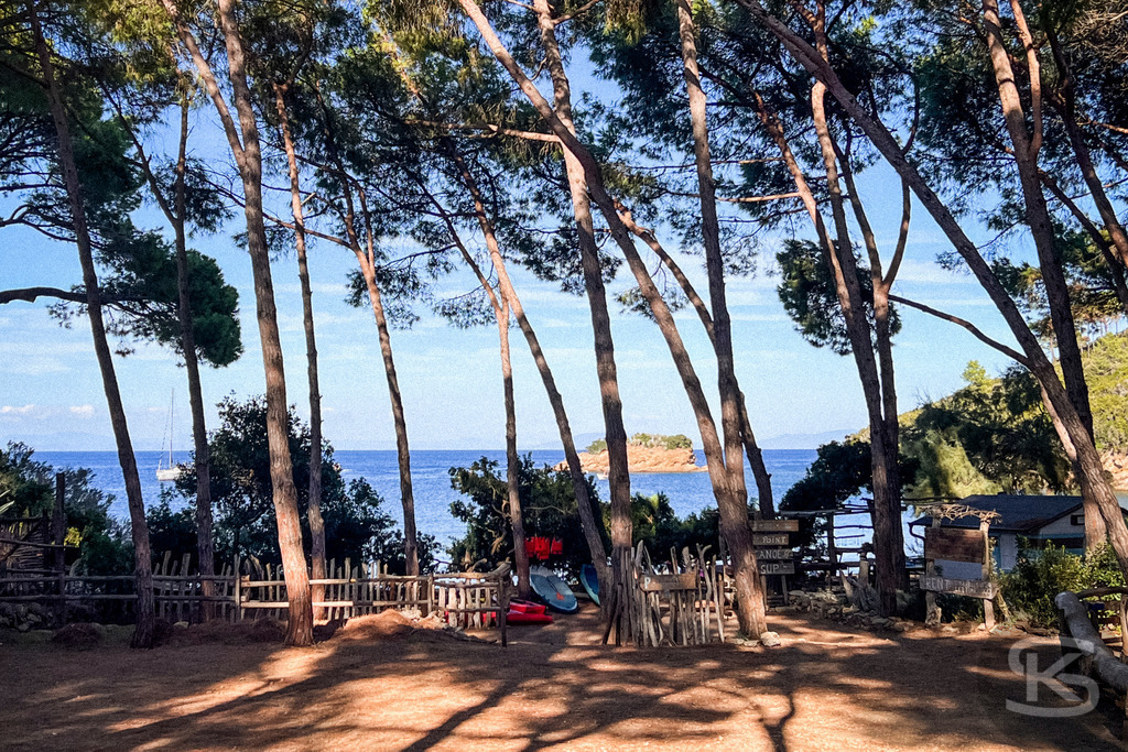 Mediterraner Küstentraum: Pinien mit Strandbar am Meer, Spiaggia di Istia, Elba – Wandbild | Mediterrane Pinien am Ufer der Spiaggia Si Istia auf Elba, mit Blick auf das türkisblaue Meer und Strandbar, Küstenlandschaft und Boote im Hintergrund - Realisiert mit Pictrs.com