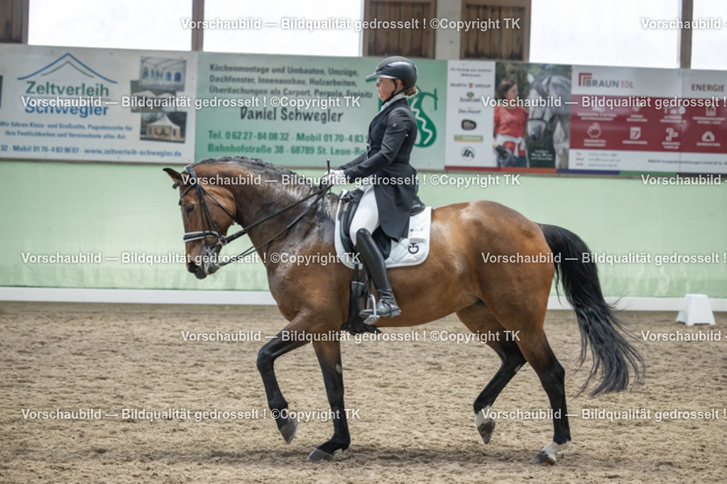 _D5A6371 | Emotionale Pferde- & People-Fotografie rund um Heidelberg, Leimen & Umgebung. Natürliche Fotos von Pferd, Mensch & Familie. Jetzt Termin sichern!