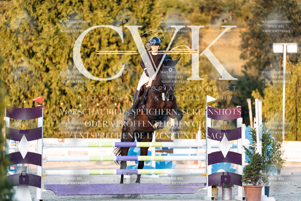CK901281 | Turnierfotografie Pferdefotografie Trier Rheinland-Pfalz Pferdesport Reitsport Tierfotografie Sportfotografie Pferdevideo Pferdevideografie Equestrianvideography equestrianphotography  - Realisiert mit Pictrs.com