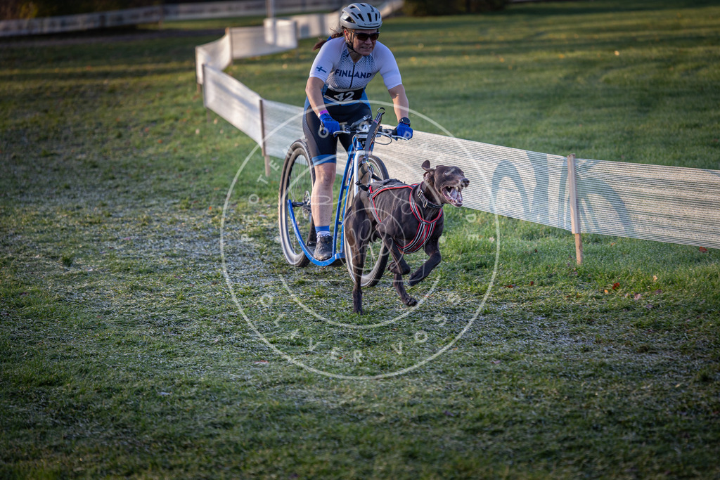 CaniXpix_0L8A1955 | Hundefotografie, Tierfotograf, Pfotenfotografie, Fotoshooting Hund, Hunde Portrait, Hundesport, Hundeportraits, Heideshooting, Hunde, Sportfotograf, Hundefotograf, Turnierhundsport, THS,  - Realisiert mit Pictrs.com