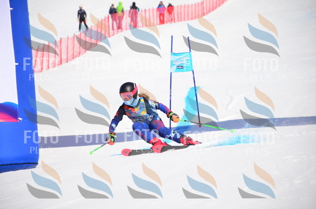 VR4_9471 | holidayphoto