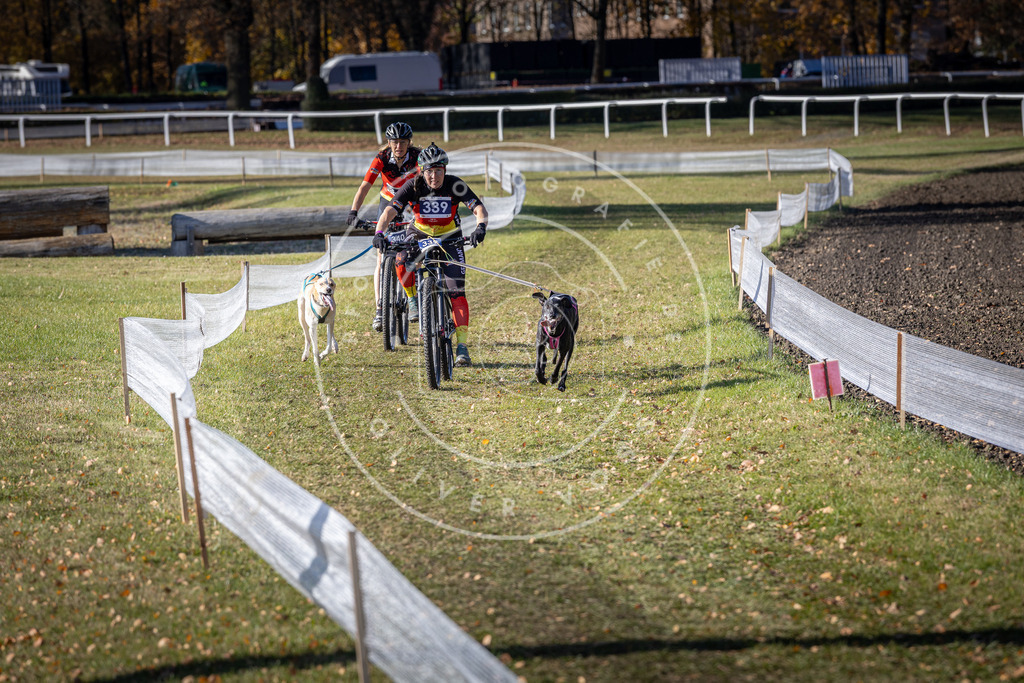 CaniXpix_DV3A6890 | Hundefotografie, Tierfotograf, Pfotenfotografie, Fotoshooting Hund, Hunde Portrait, Hundesport, Hundeportraits, Heideshooting, Hunde, Sportfotograf, Hundefotograf, Turnierhundsport, THS,  - Realisiert mit Pictrs.com