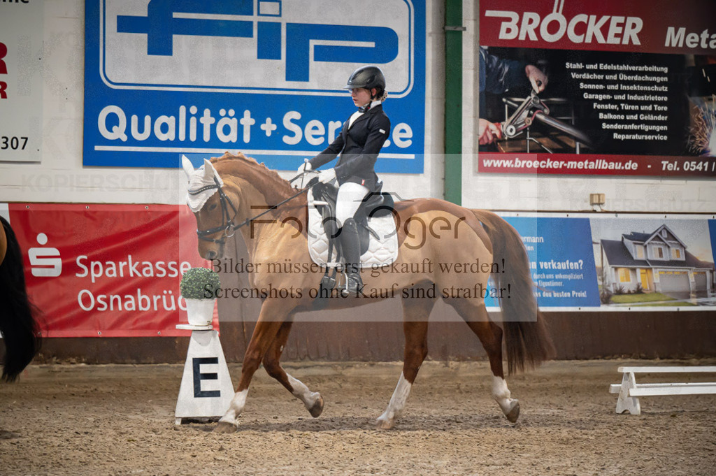 Hallenreittunier Voxtrup 2023 | Entdecke hochwertige Reitturnierfotos von Foto Oger. Professionell, emotional und authentisch – jetzt Lieblingsmomente im Shop bestellen.Deutschlandweite Turnierfotografie. - Realisiert mit Pictrs.com