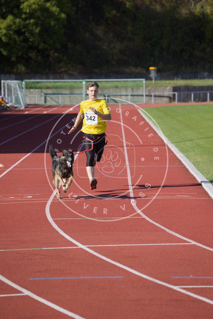 0L8A9033 | Hundefotografie, Tierfotograf, Pfotenfotografie, Fotoshooting Hund, Hunde Portrait, Hundesport, Hundeportraits, Heideshooting, Hunde, Sportfotograf, Hundefotograf, Turnierhundsport, THS,  - Realisiert mit Pictrs.com