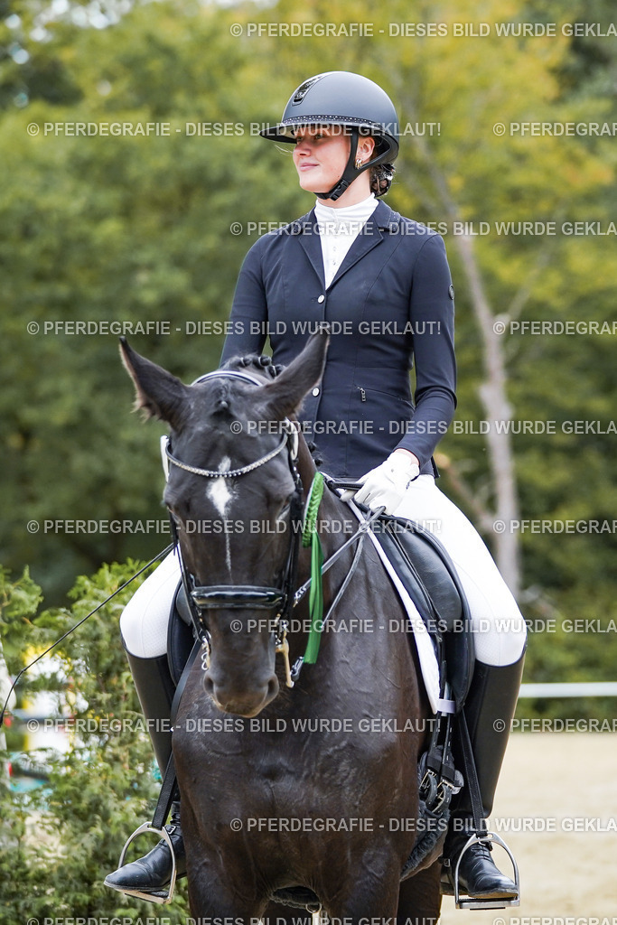 DSC02631 | Pferdegrafie