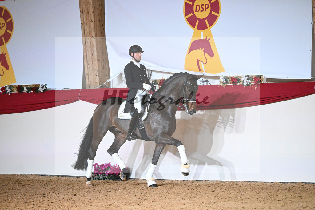 Knock Out_1234863 | hf-fotografie - Realisiert mit Pictrs.com