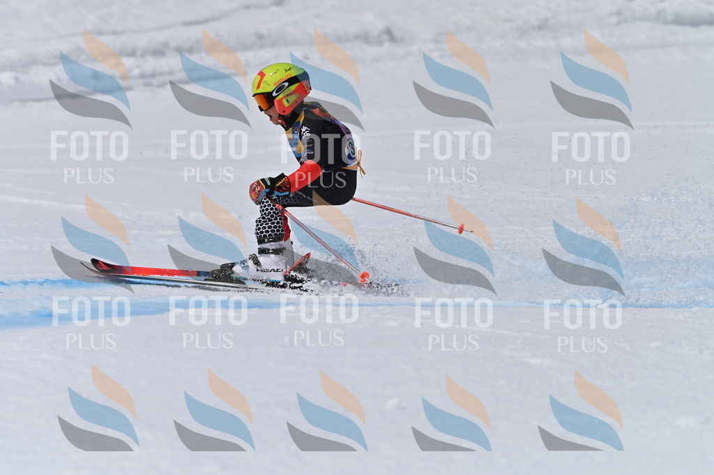 BGV_6073 | holidayphoto