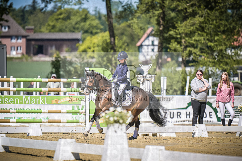 DOS_8562 | Entdecke hochwertige Reitturnierfotos von Foto Oger. Professionell, emotional und authentisch – jetzt Lieblingsmomente im Shop bestellen.Deutschlandweite Turnierfotografie. - Realisiert mit Pictrs.com