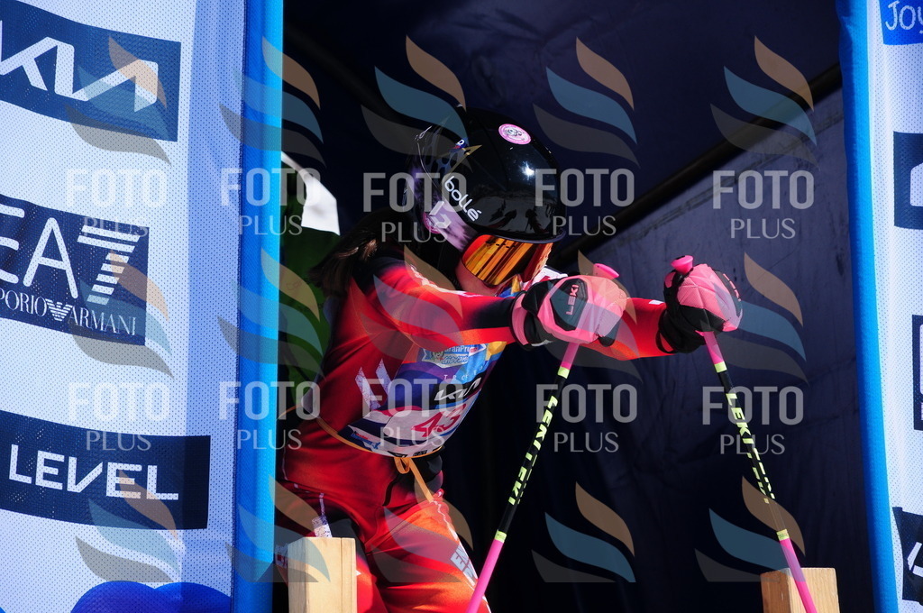 DSC_4095 | holidayphoto