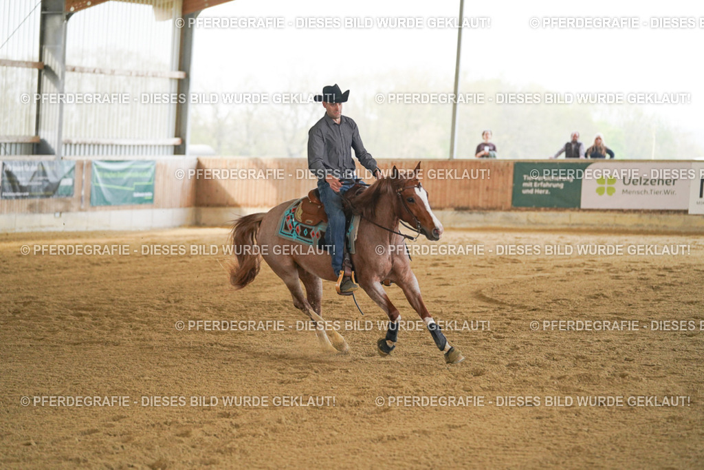 DSC08199 | Pferdegrafie