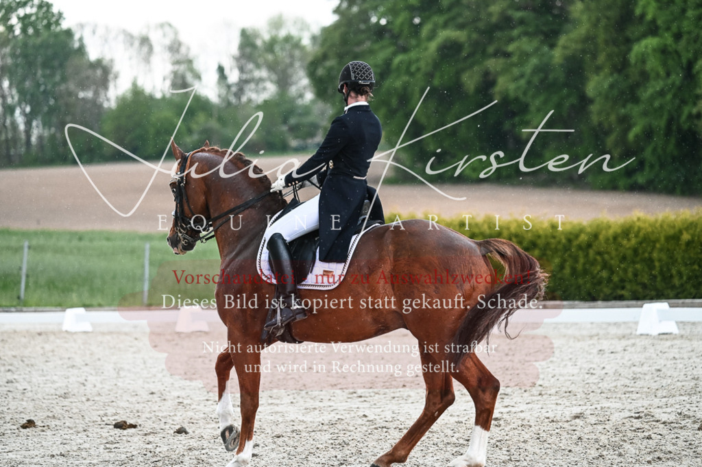 20230514_JK-Röhrsdorf-21-606 | Pferde- und Turnierfotografie in Westsachsen. Pferdeportraits, Auftragszeichnungen und intuitive Kunst.