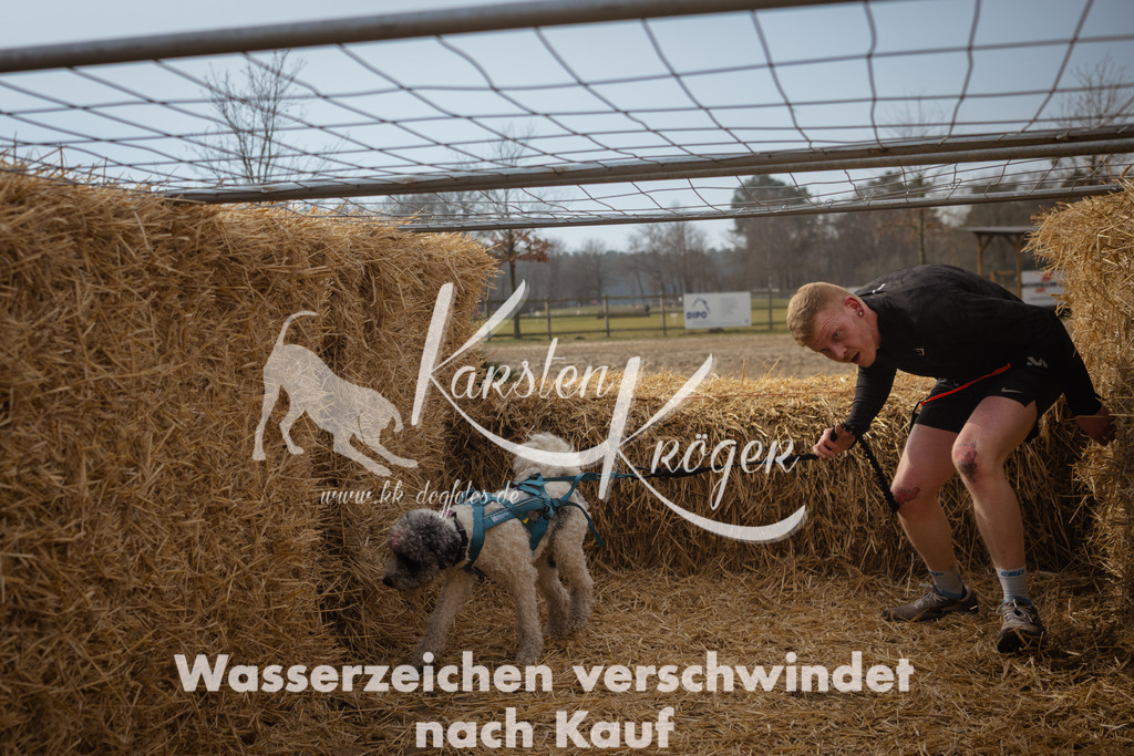 1126_ZZ93380 | kk-dogfotos