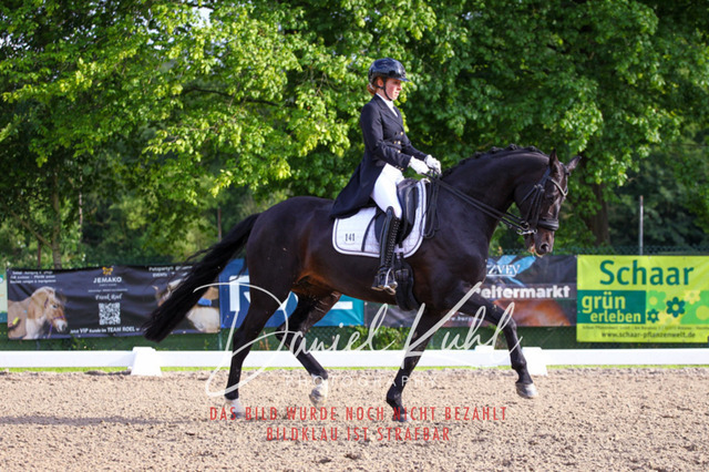 DKP41728 | Deine Turnierfotos vom Reitturnier online kaufen: Dressur, Springen & Siegerehrung. Professionelle Pferdefotografie aus dem Rheinland – als Download & Print.Alternative: Turnierfotograf für den Pferdesport: Finde deine Fotos von Dressur- und Springturnier
