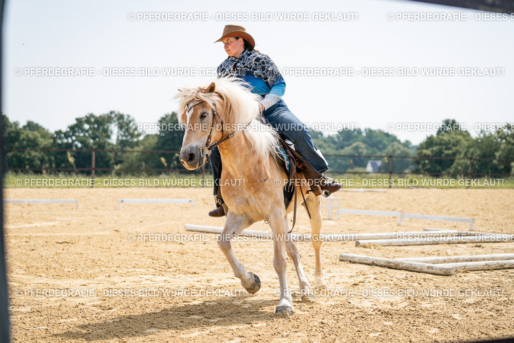 DSC00008 | Pferdegrafie