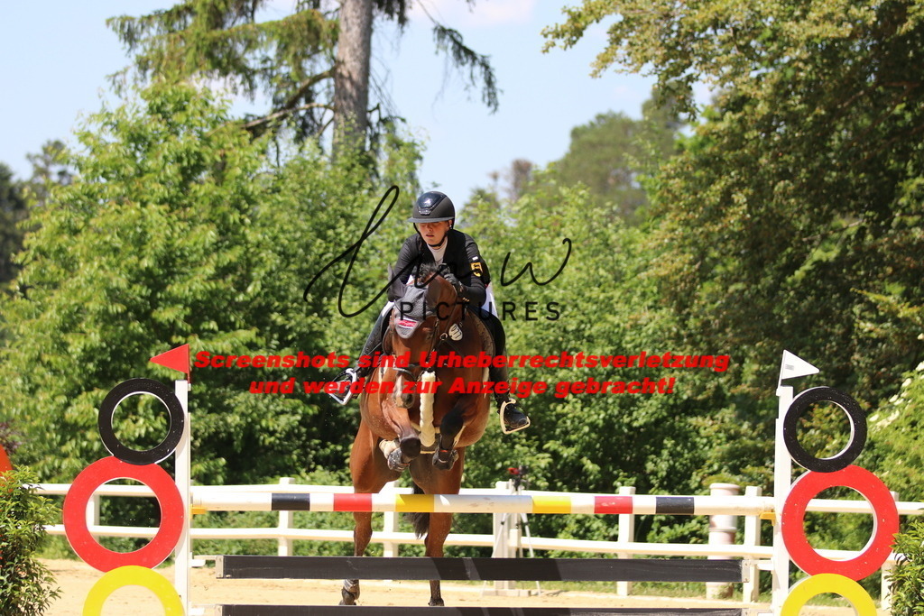 IMG_2314 | lmwpictures - Realisiert mit Pictrs.com