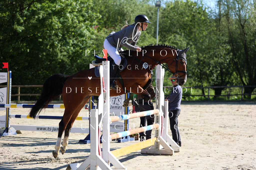 IMGS6216 | pl-fotografie