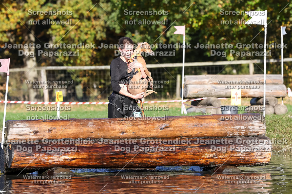 Dog Paparazzi - Strongdog 10-25-8791 | Dog Paparazzi Jeanette Grottendiek Fotografie & Videografie - Realisiert mit Pictrs.com