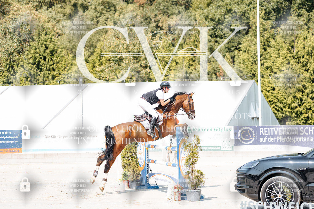 CK901202 | Turnierfotografie Pferdefotografie Trier Rheinland-Pfalz Pferdesport Reitsport Tierfotografie Sportfotografie Pferdevideo Pferdevideografie Equestrianvideography equestrianphotography  - Realisiert mit Pictrs.com