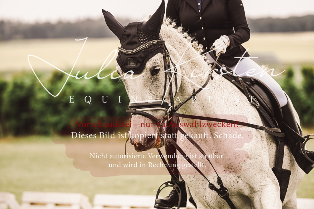 DSC_5025 | Pferde- und Turnierfotografie in Westsachsen. Pferdeportraits, Auftragszeichnungen und intuitive Kunst.