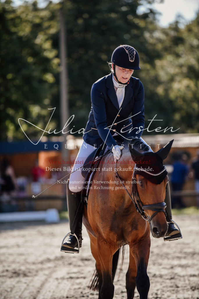 DSC_0420 | Pferde- und Turnierfotografie in Westsachsen. Pferdeportraits, Auftragszeichnungen und intuitive Kunst.