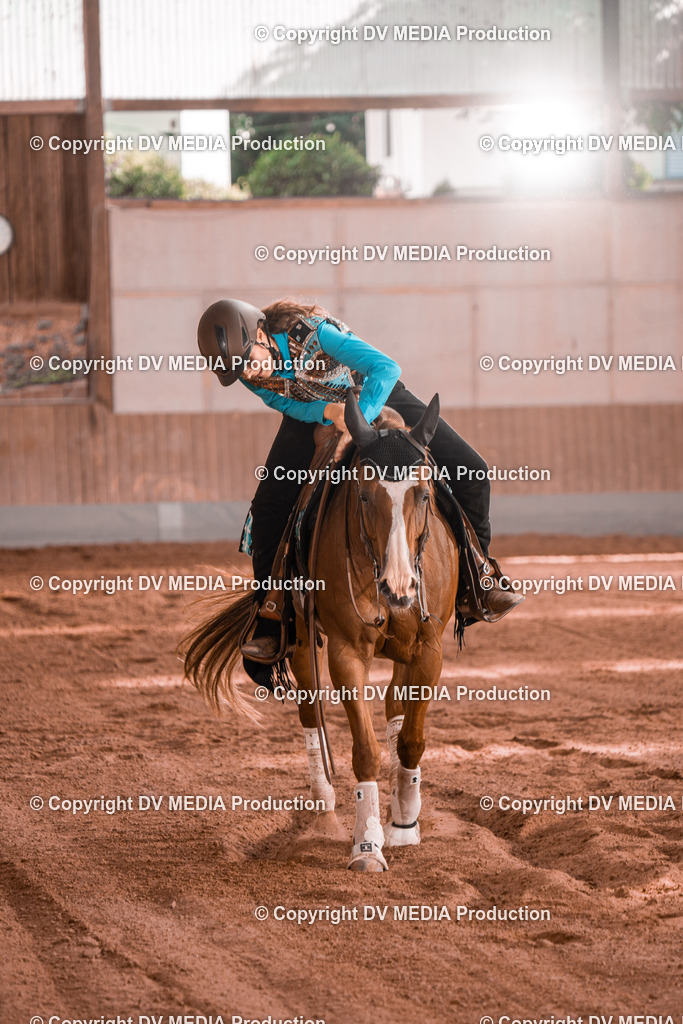 NE201153 | dv-media-shop - Realisiert mit Pictrs.com