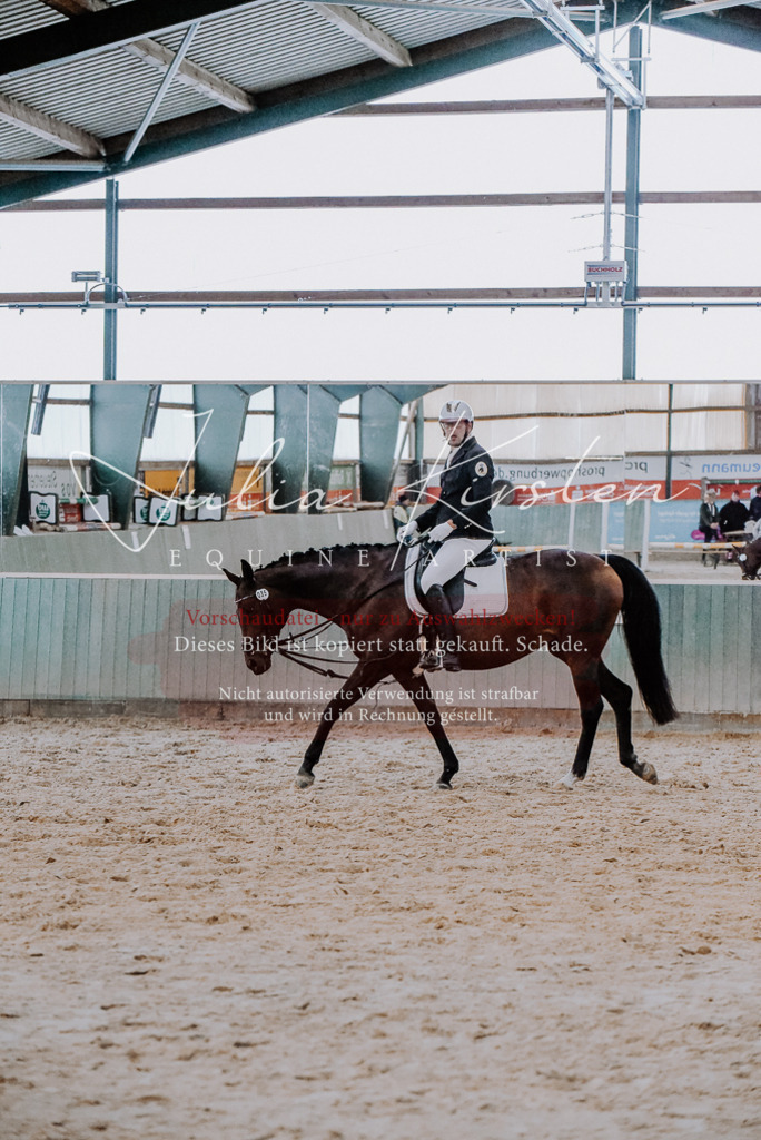 DSC_7719 | Pferde- und Turnierfotografie in Westsachsen. Pferdeportraits, Auftragszeichnungen und intuitive Kunst.