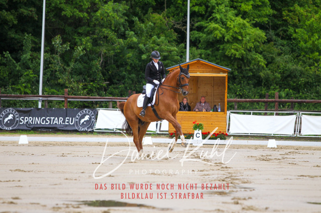 DKP46635 | Turniersportfotografie; Pferdefotografie; Dressurfotografie