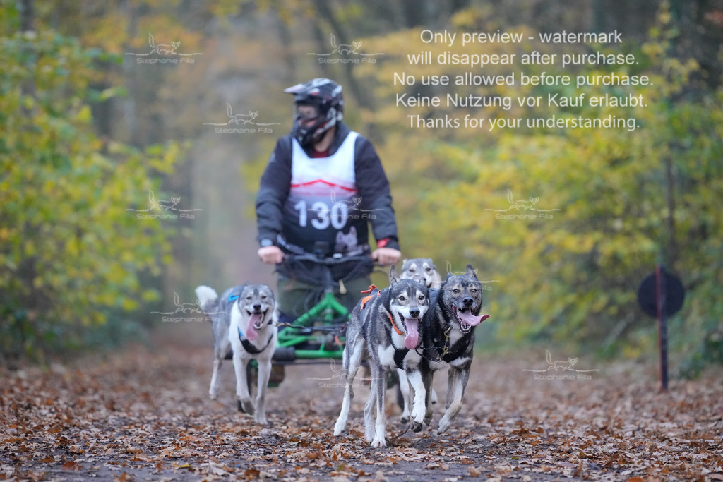 Rigs4bis8So-54 | stephaniefillaphotographie - Realisiert mit Pictrs.com