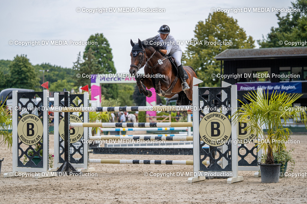 Hessische Tag 3-515 | dv-media-shop - Realisiert mit Pictrs.com