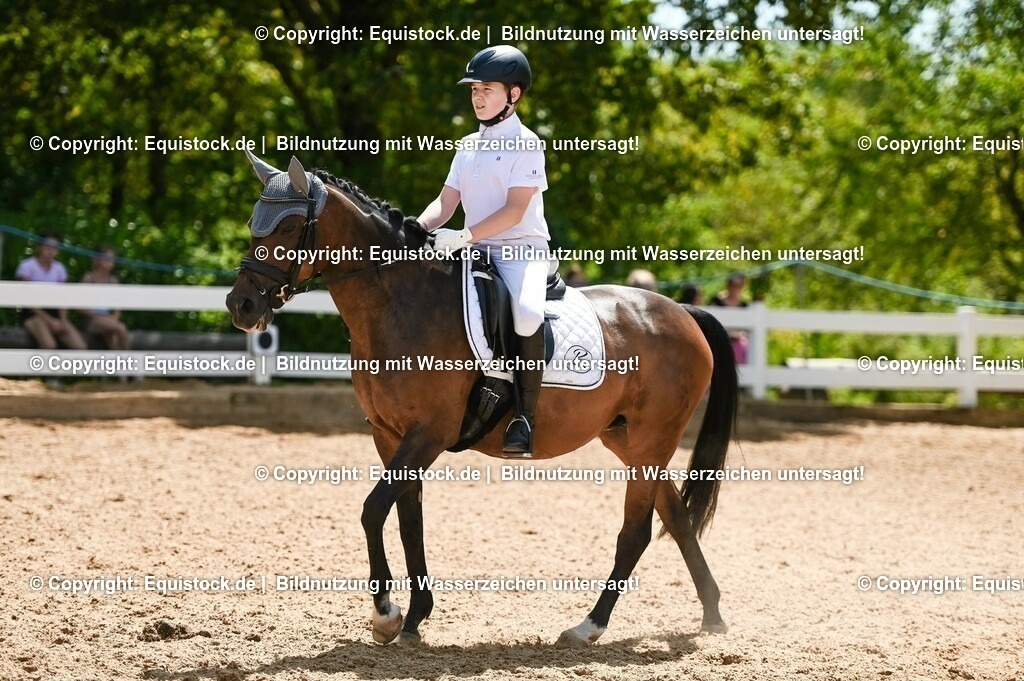 20230715_09_Dressur-WB_0379 | equistock