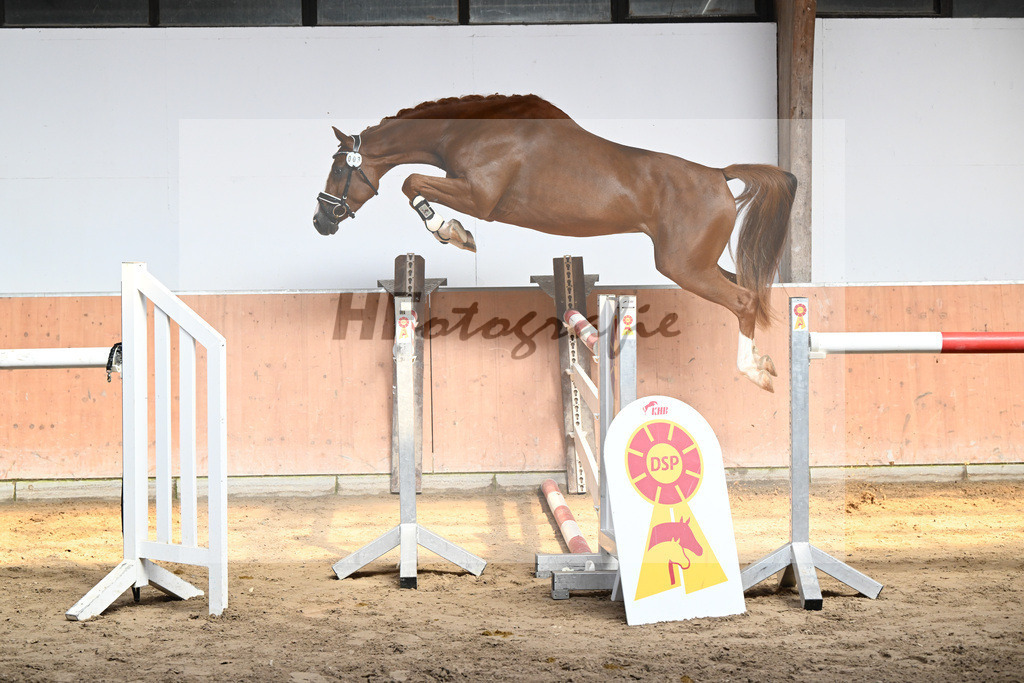 Kat-Nr. 3 Hollyfly_Eisenmenger_36230054 | hf-fotografie - Realizzato con Pictrs.com